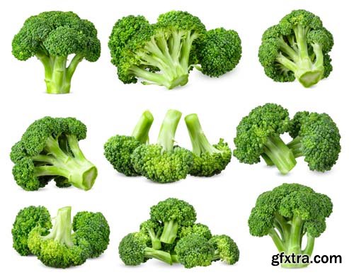 Broccoli Isolated - 10xJPGs