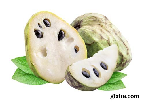 Cherimoyas Isolated - 7xJPGs