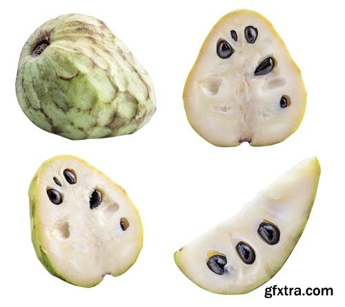 Cherimoyas Isolated - 7xJPGs