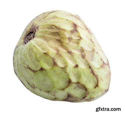 Cherimoyas Isolated - 7xJPGs