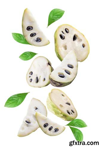 Cherimoyas Isolated - 7xJPGs