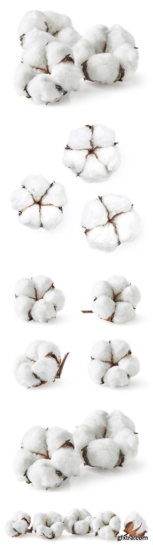 Cotton Isolated - 5xJPGs