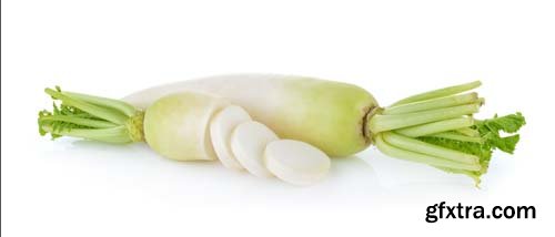 Daikon Radishes Isolated - 10xJPGs