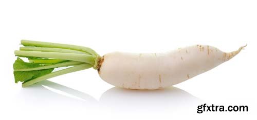 Daikon Radishes Isolated - 10xJPGs