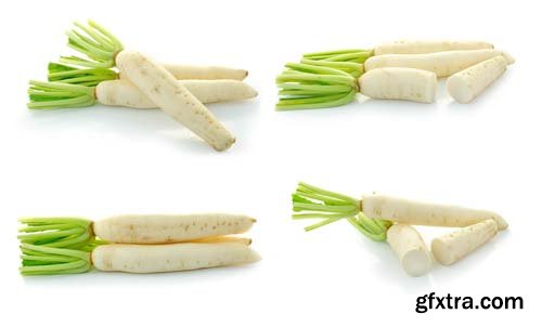 Daikon Radishes Isolated - 10xJPGs