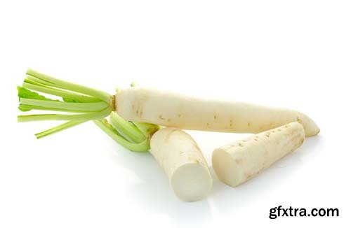 Daikon Radishes Isolated - 10xJPGs