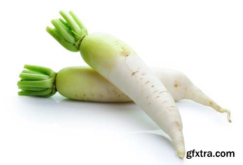 Daikon Radishes Isolated - 10xJPGs