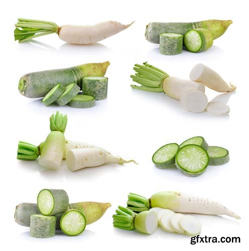 Daikon Radishes Isolated - 10xJPGs