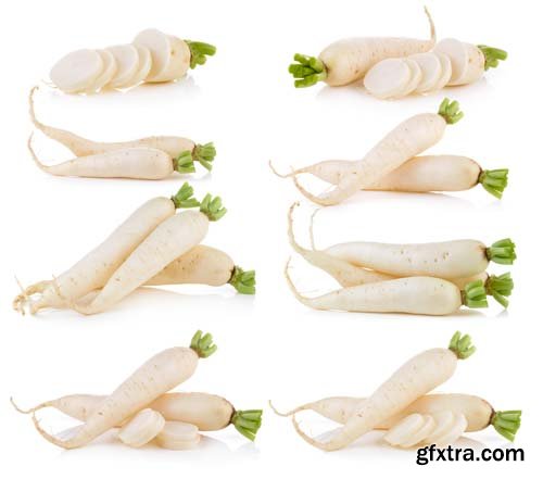 Daikon Radishes Isolated - 10xJPGs