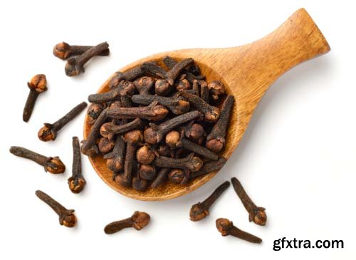 Dried Cloves Isolated - 6xJPGs