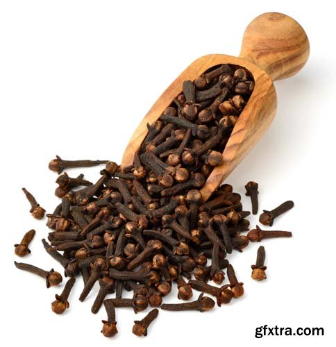 Dried Cloves Isolated - 6xJPGs