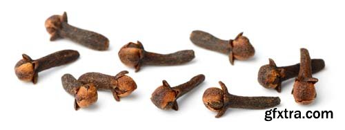 Dried Cloves Isolated - 6xJPGs