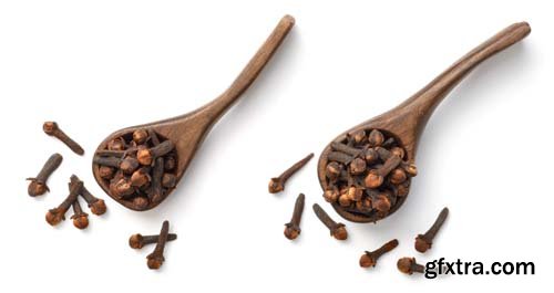 Dried Cloves Isolated - 6xJPGs