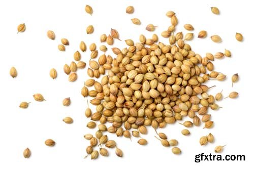 Dried Coriander Seeds Isolated - 6xJPGs