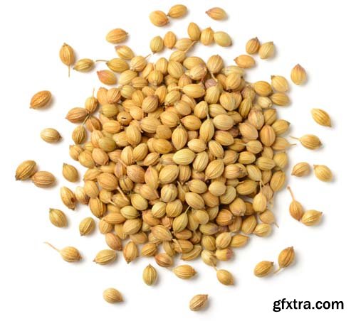 Dried Coriander Seeds Isolated - 6xJPGs