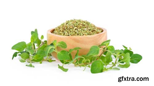 Dried Oregano Isolated - 6xJPGs