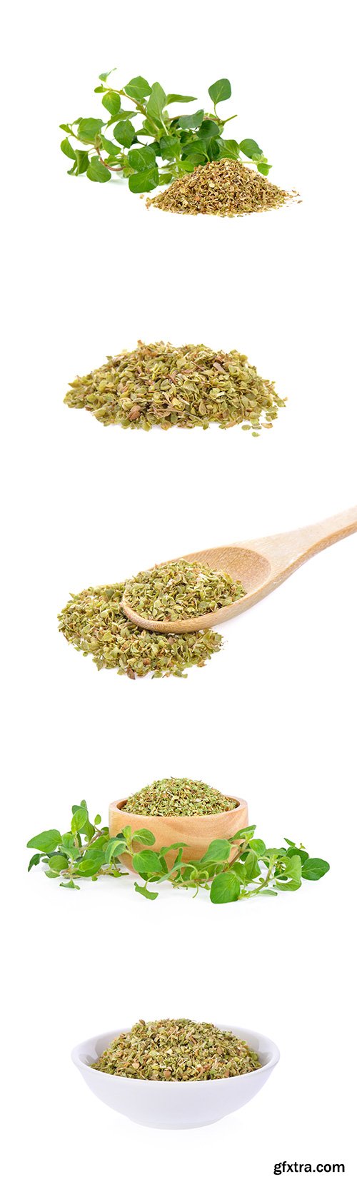 Dried Oregano Isolated - 6xJPGs