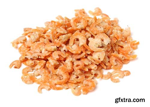 Dried Shrimp Isolated - 6xJPGs