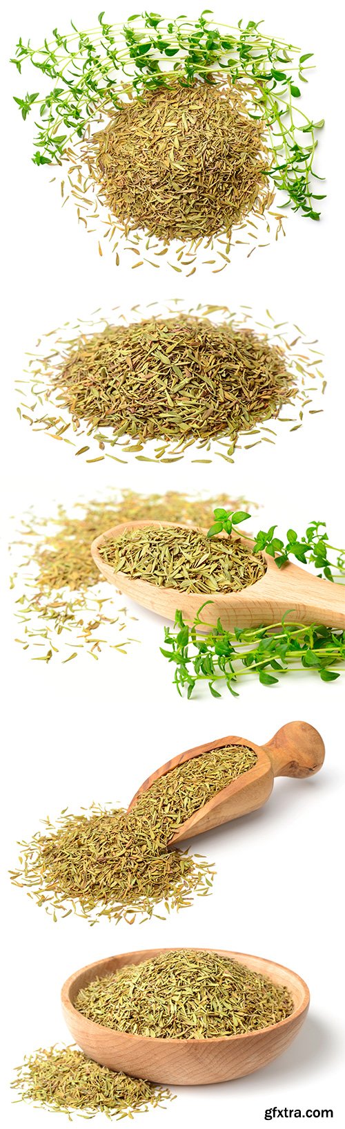 Dried Thyme Isolated - 5xJPGs