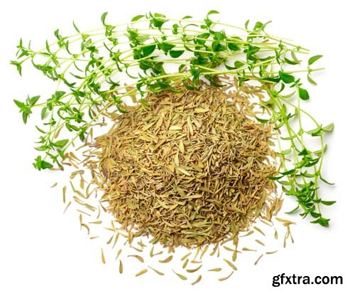 Dried Thyme Isolated - 5xJPGs