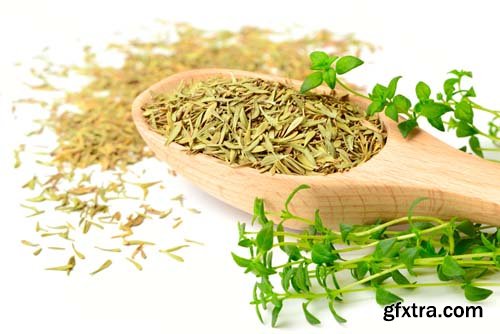 Dried Thyme Isolated - 5xJPGs