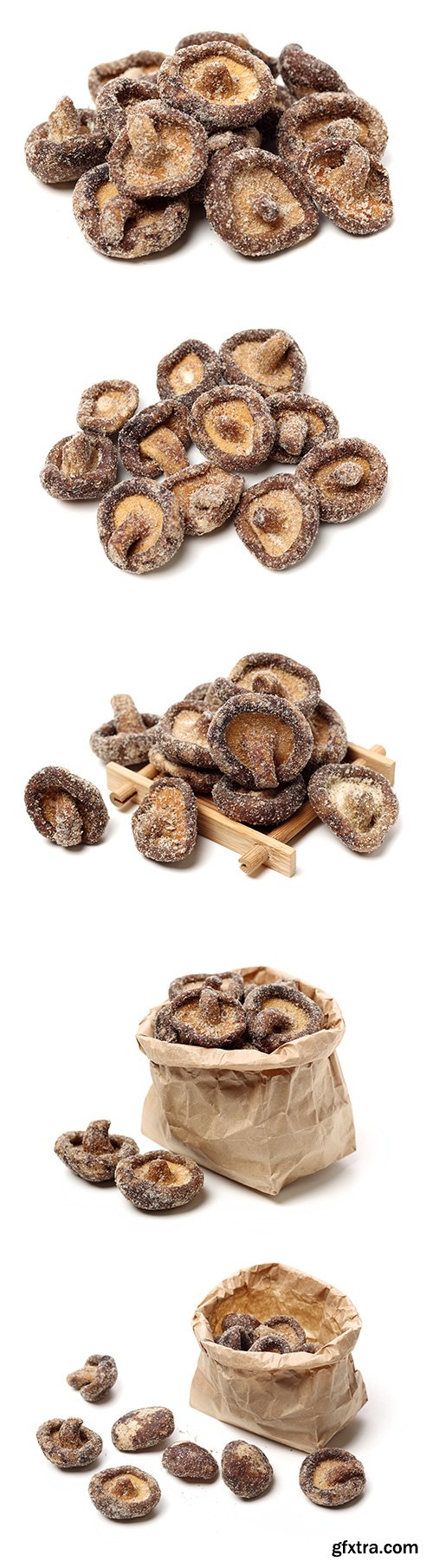 Dry Mushrooms Isolated - 5xJPGs