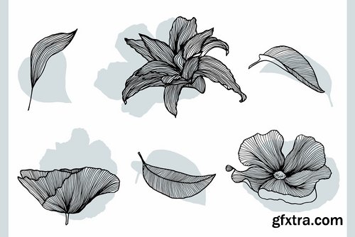 Lineart Floral Patterns & Elements