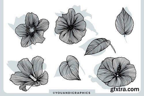 Lineart Floral Patterns & Elements