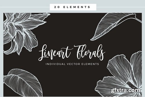 Lineart Floral Patterns & Elements