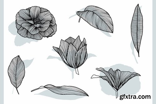 Lineart Floral Patterns & Elements