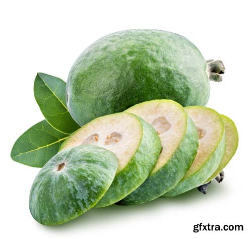 Fresh Feijoa Isolated - 10xJPGs