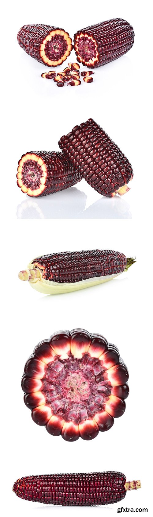 Fresh Purple Corn Isolated - 5xJPGs