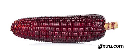 Fresh Purple Corn Isolated - 5xJPGs