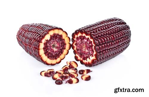 Fresh Purple Corn Isolated - 5xJPGs