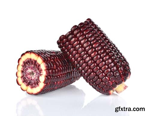 Fresh Purple Corn Isolated - 5xJPGs