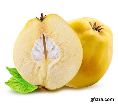 Fresh Quince Isolated - 10xJPGs