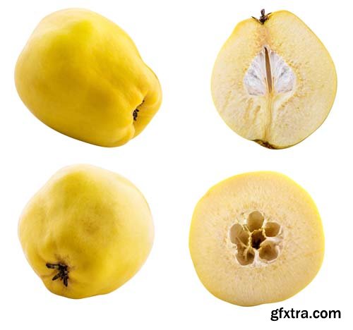 Fresh Quince Isolated - 10xJPGs