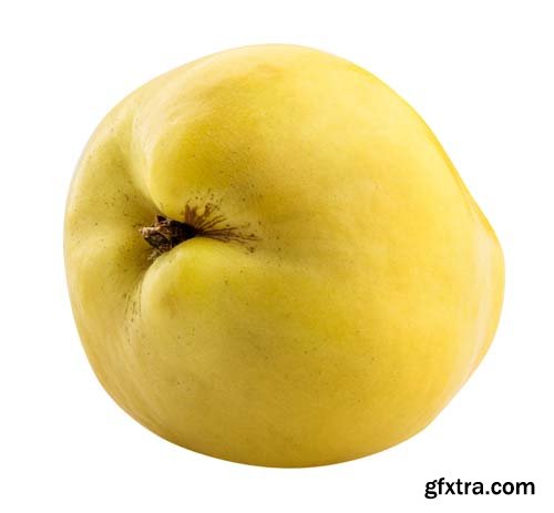 Fresh Quince Isolated - 10xJPGs