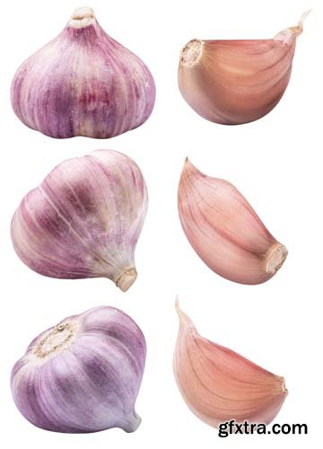 Garlic Isolated - 7xJPGs