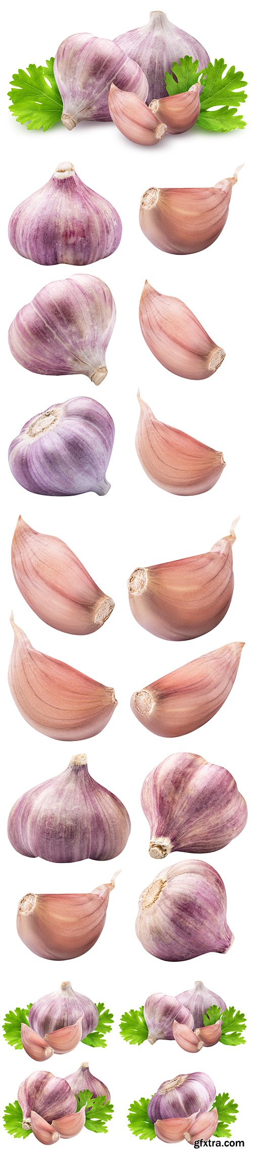 Garlic Isolated - 7xJPGs