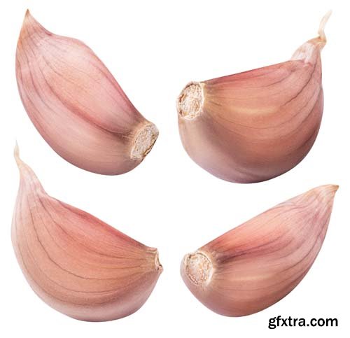 Garlic Isolated - 7xJPGs