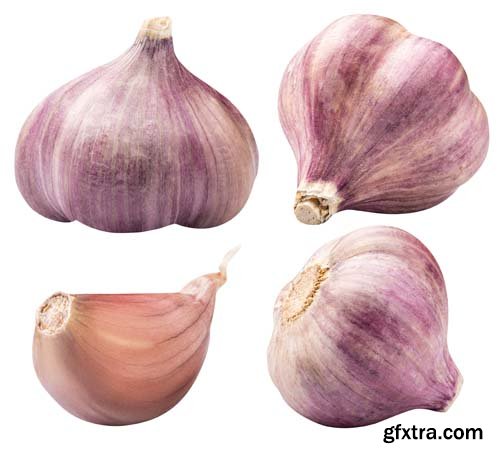 Garlic Isolated - 7xJPGs