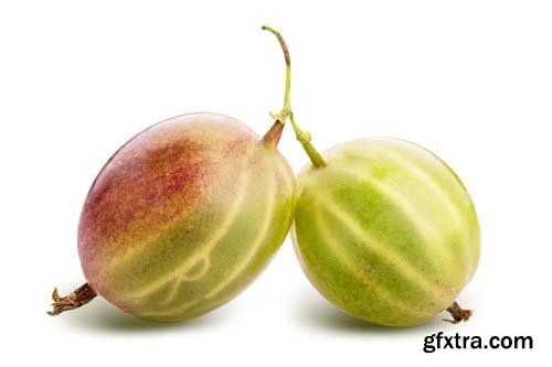 Gooseberry Isolated - 8xJPGs