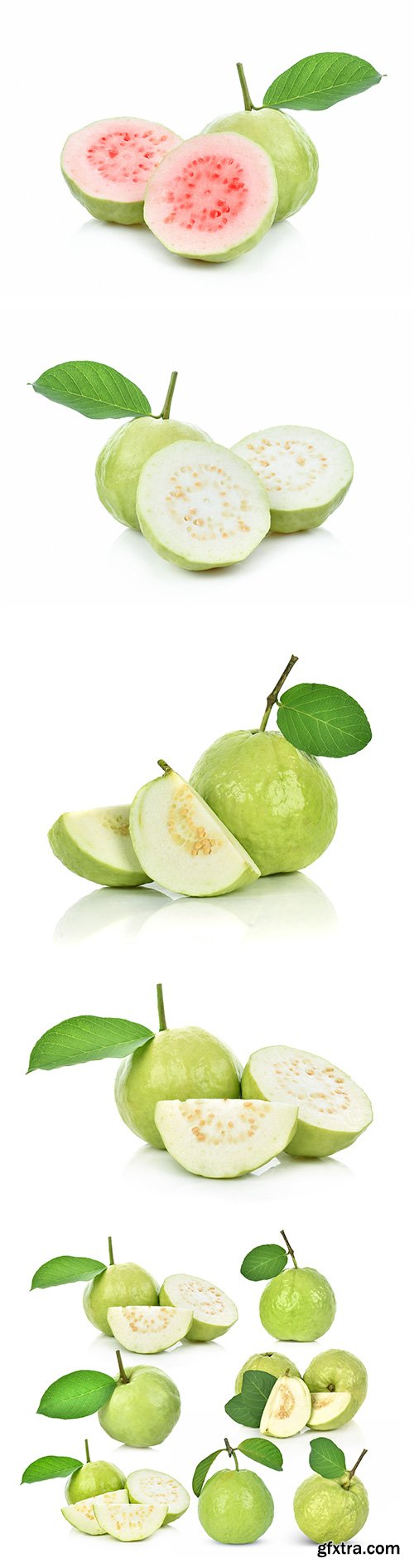 Guava Isolated - 8xJPGs