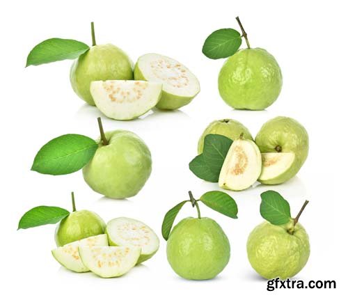 Guava Isolated - 8xJPGs