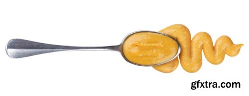 Honey Mustart Sauce Isolated - 6xJPGs