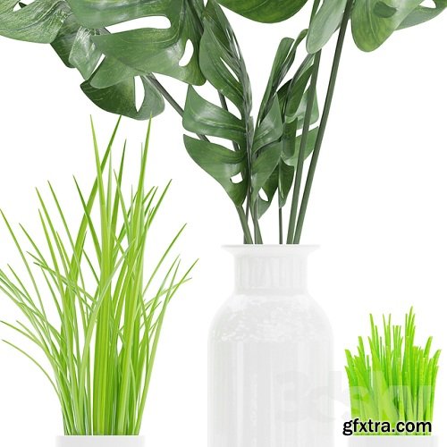 Plant 04 3D Model