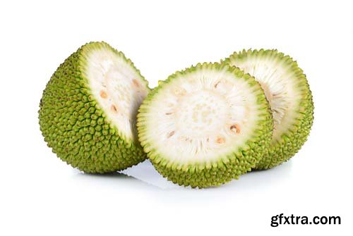 Jackfruit Isolated - 10xJPGs