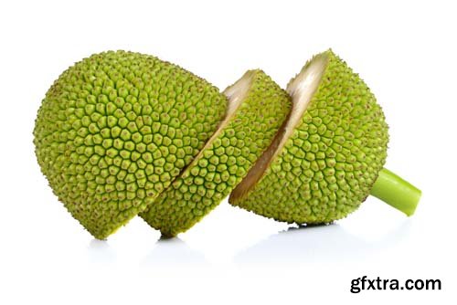 Jackfruit Isolated - 10xJPGs