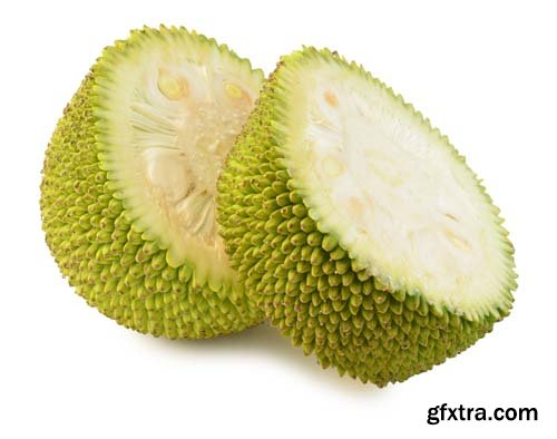 Jackfruit Isolated - 10xJPGs